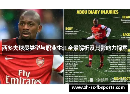西多夫球员类型与职业生涯全景解析及其影响力探索 西多夫球员类型与职业生涯全景解析及其影响力探索