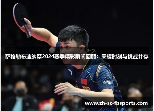 萨格勒布迪纳摩2024赛季精彩瞬间回顾：荣耀时刻与挑战并存