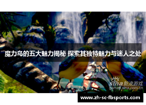 魔力鸟的五大魅力揭秘 探索其独特魅力与迷人之处